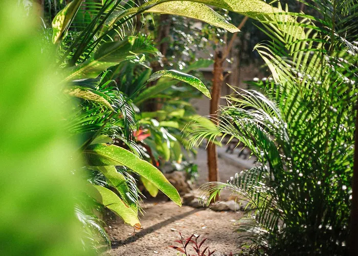 Luxury Penthouse In Tulum, Private Rooftop Jacuzzi * Tulum